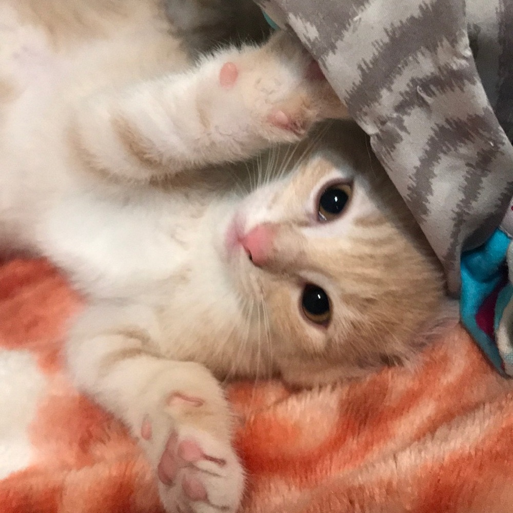 Read description please ‼️